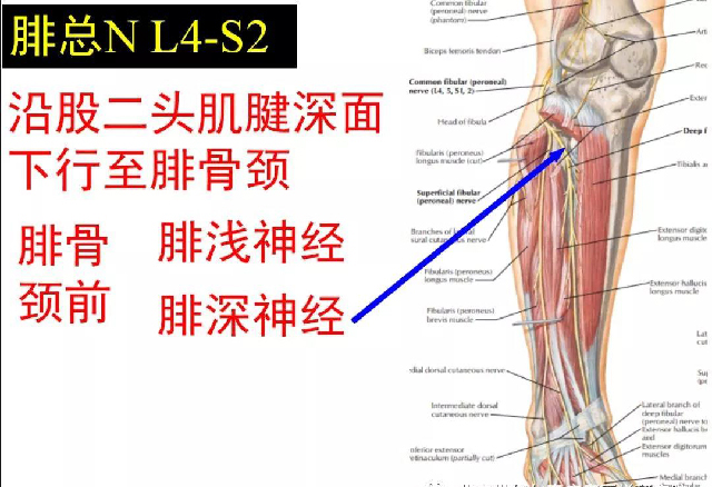 微信图片_20191108104353.jpg