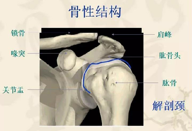 微信图片_20191108114032.jpg