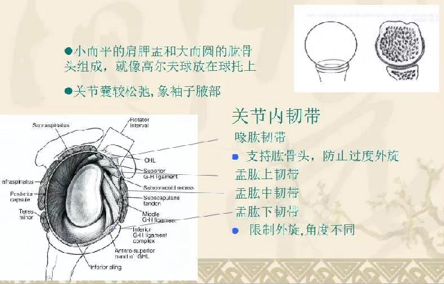 微信图片_20191108114048.jpg