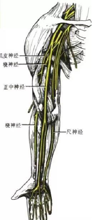 微信图片_20191108140229.jpg