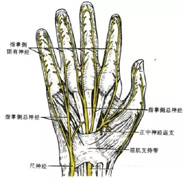 微信图片_20191108140232.jpg