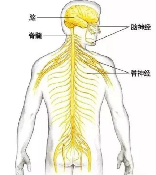 微信图片_20191108142627.jpg