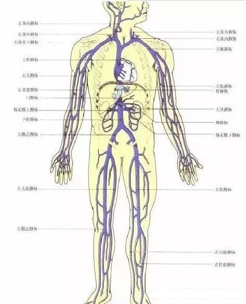 微信图片_20191108142630.jpg