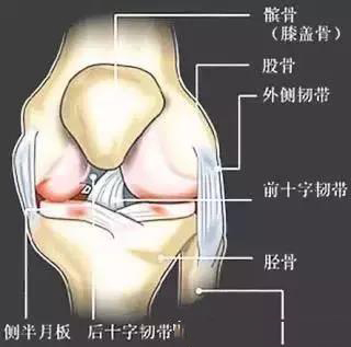 微信图片_20191108144616.jpg