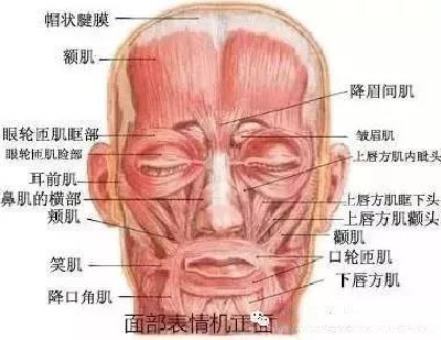 微信图片_20191109092321.jpg