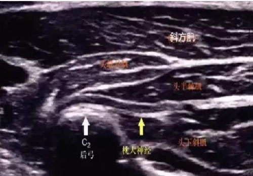 微信图片_20191109102046.jpg