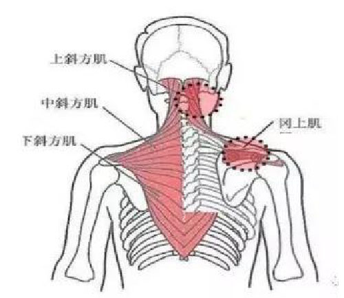 微信图片_20191109102102.jpg