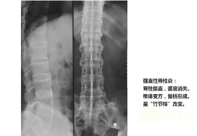 微信图片_20191109104858.jpg