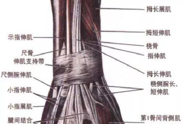 微信图片_20191109110428.jpg