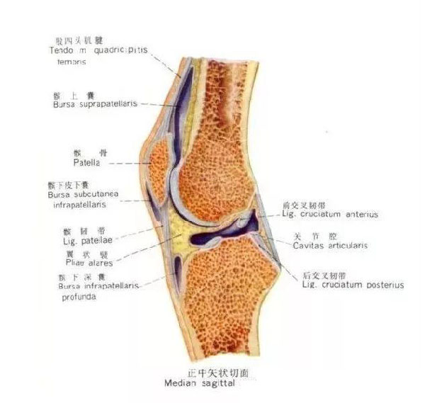 微信图片_20191109112329.jpg