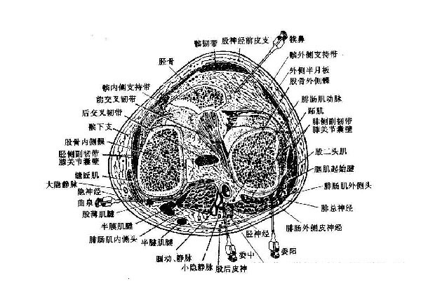 微信图片_20191109112344.jpg