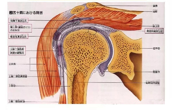 微信图片_20191109112350.jpg