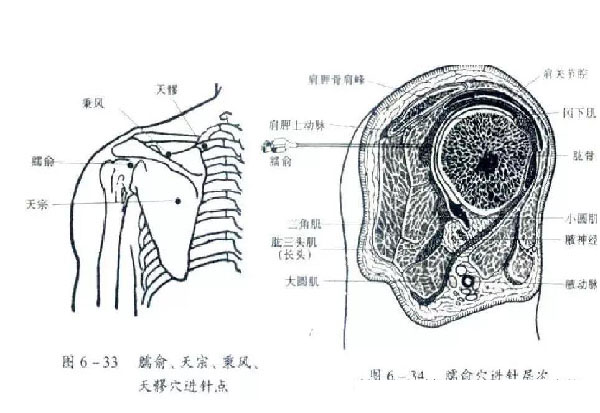 微信图片_20191109112401.jpg