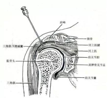 微信图片_20191109112406.jpg