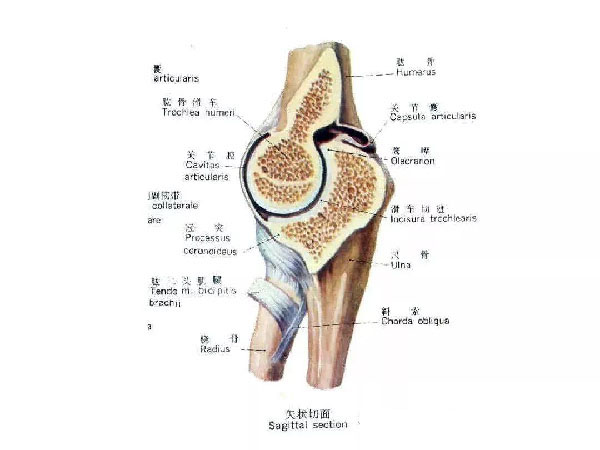 微信图片_20191109112408.jpg