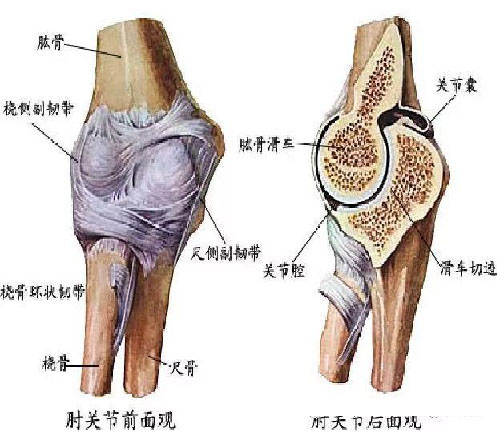 微信图片_20191109141609.jpg