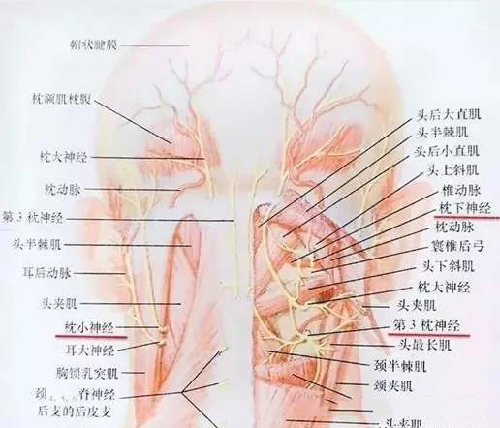 微信图片_20191129141302.jpg