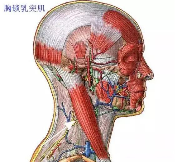 微信图片_20191129142535.jpg