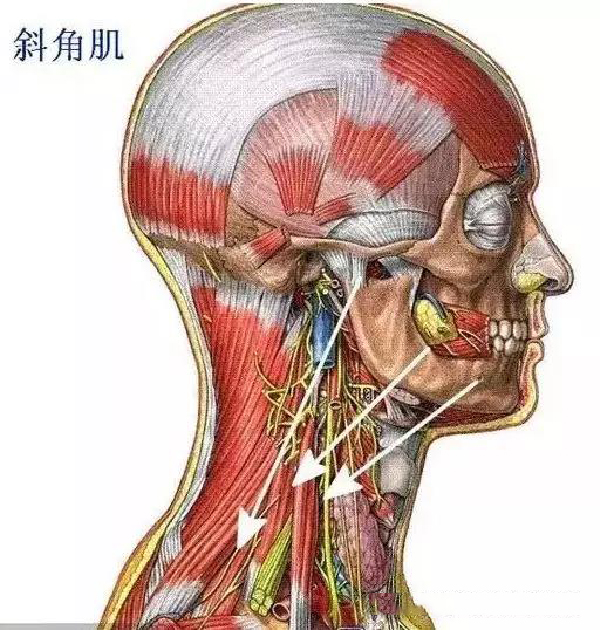 微信图片_20191129142543.jpg