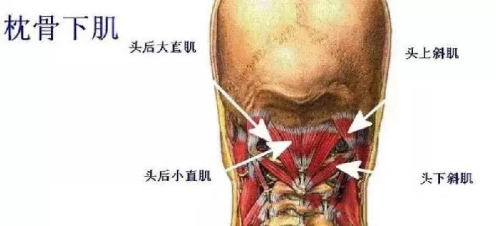 微信图片_20191129142619.jpg