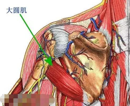 微信图片_20191129142649.jpg