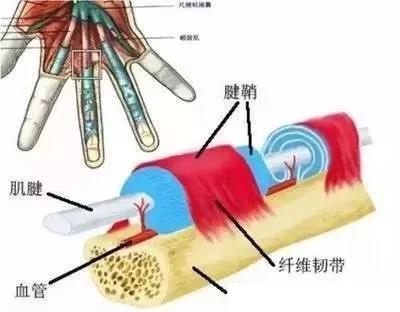 微信图片_20191129144512.jpg