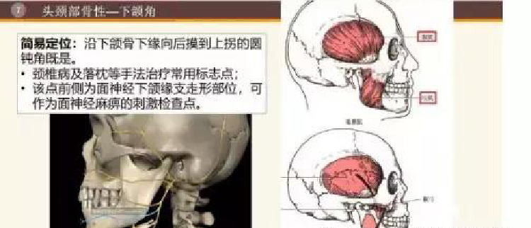 微信图片_20191129160506.jpg