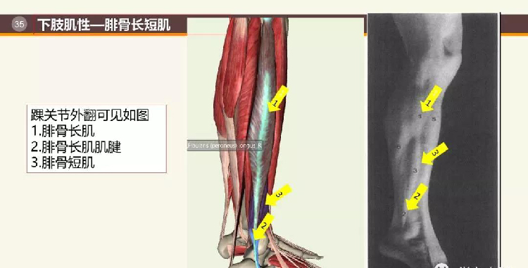 微信图片_20191129160626.jpg