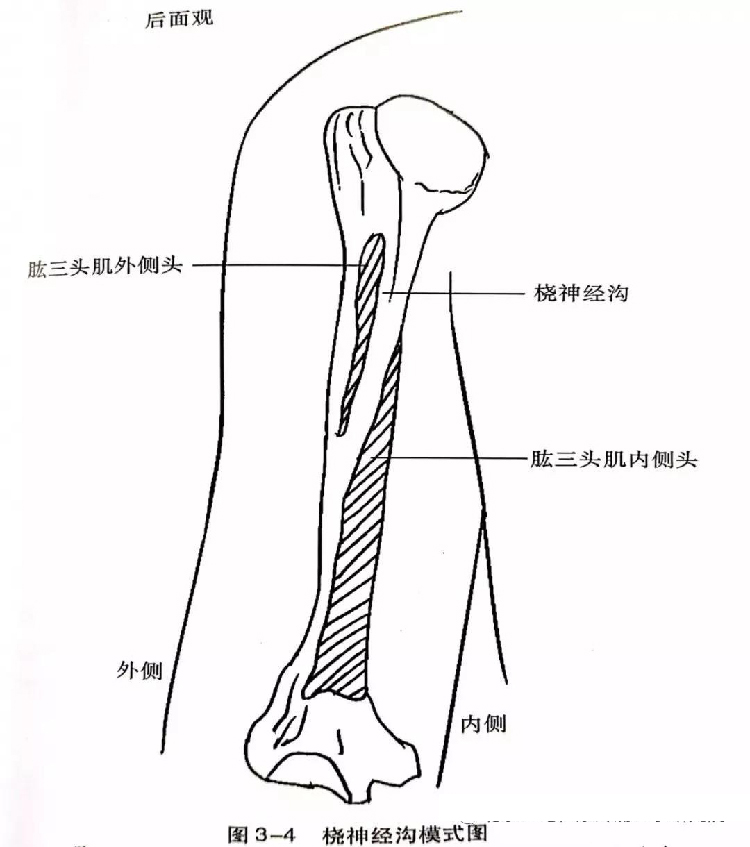 微信图片_20191129162543.jpg