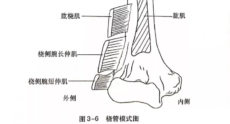 微信图片_20191129162605.jpg