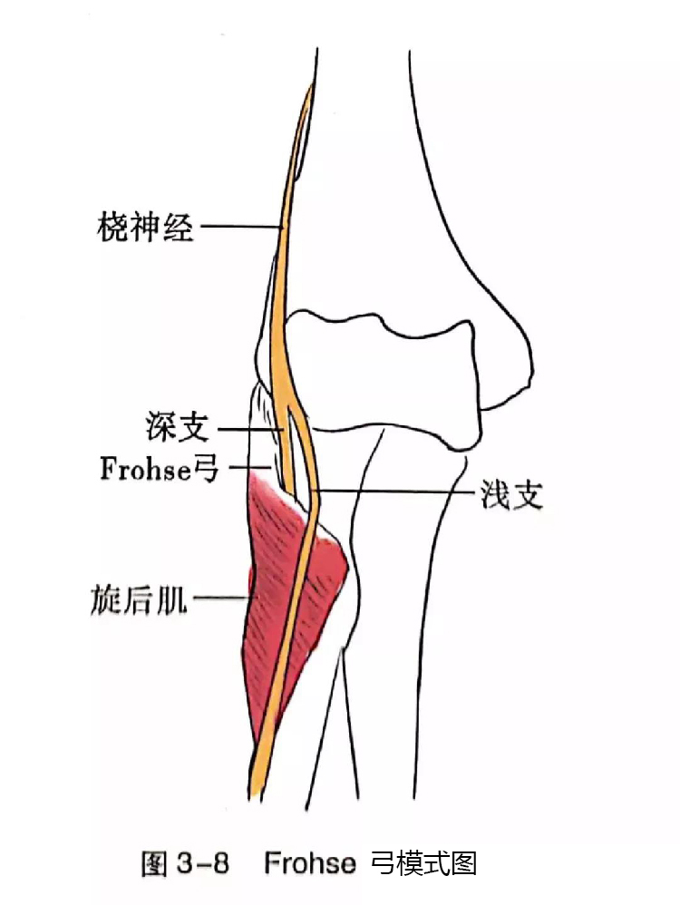 微信图片_20191129162615.jpg