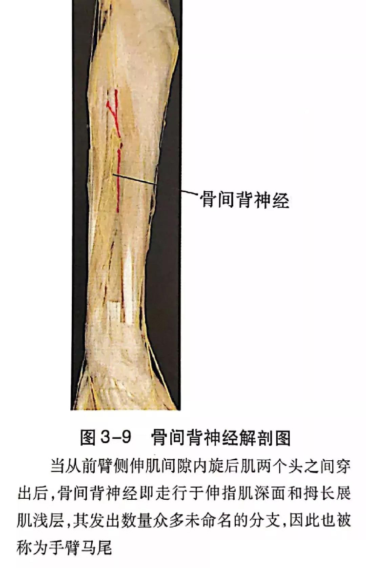 微信图片_20191129162618.jpg