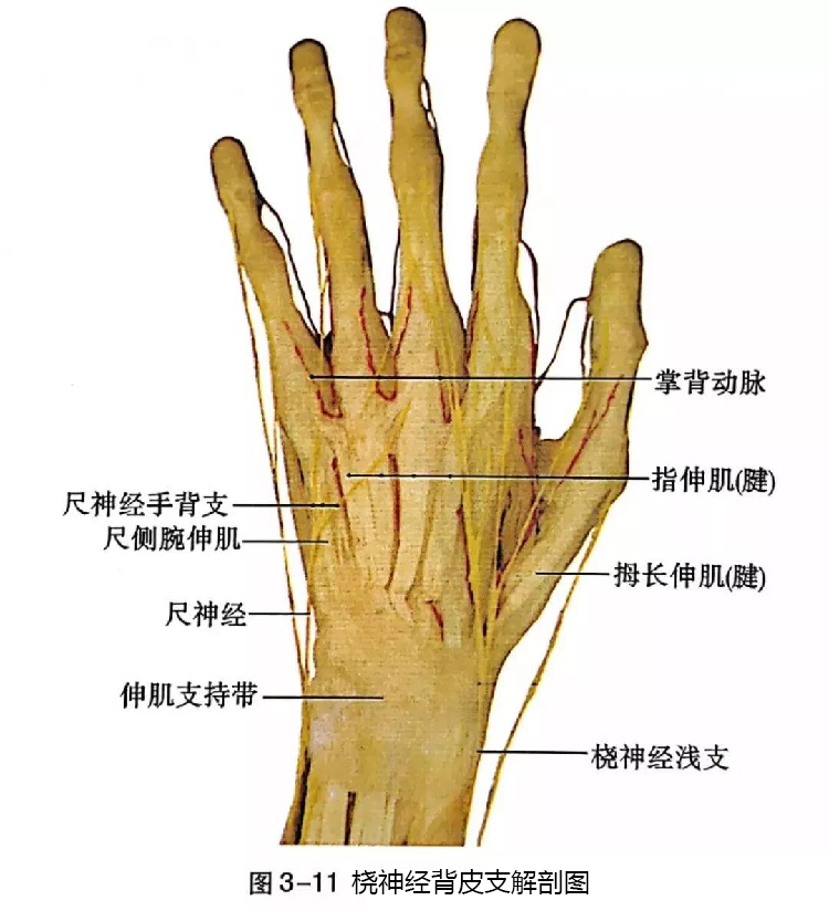 微信图片_20191129162623.jpg