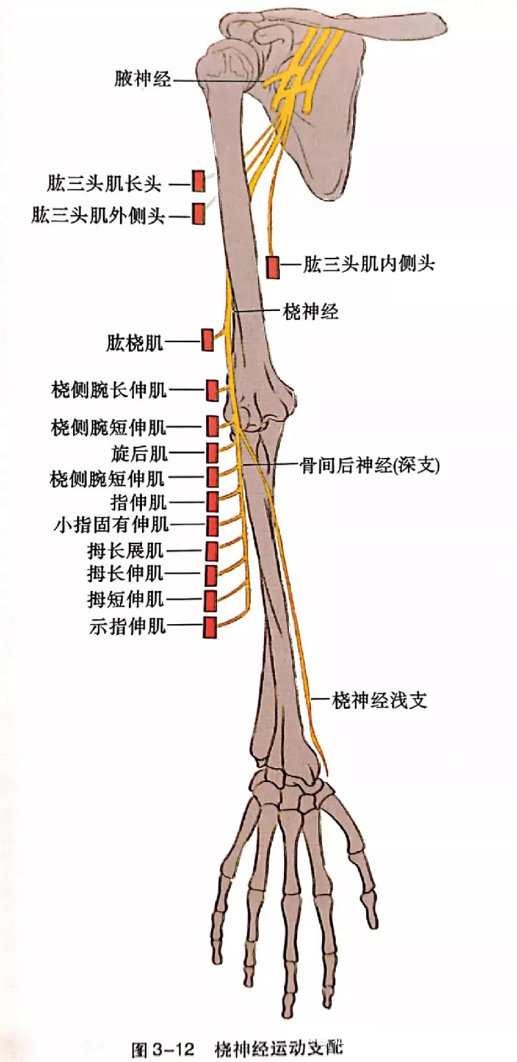 微信图片_20191129162626.jpg