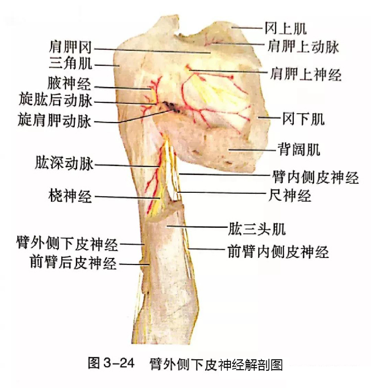 微信图片_20191129162703.jpg