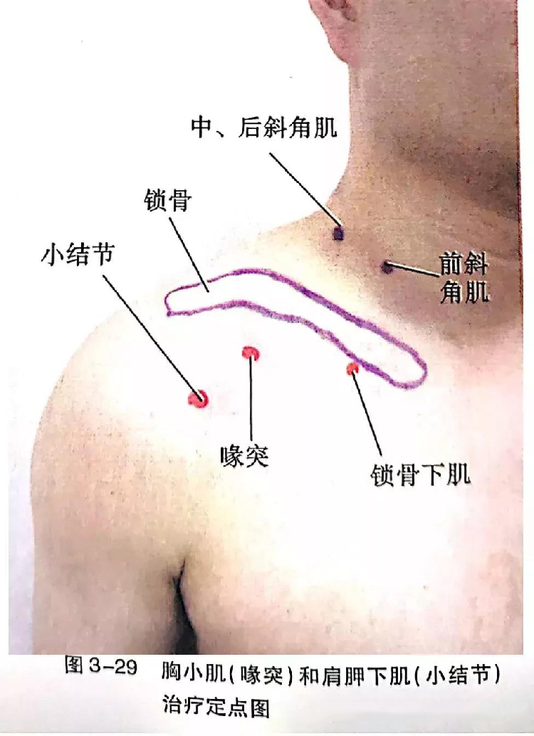 微信图片_20191129162718.jpg