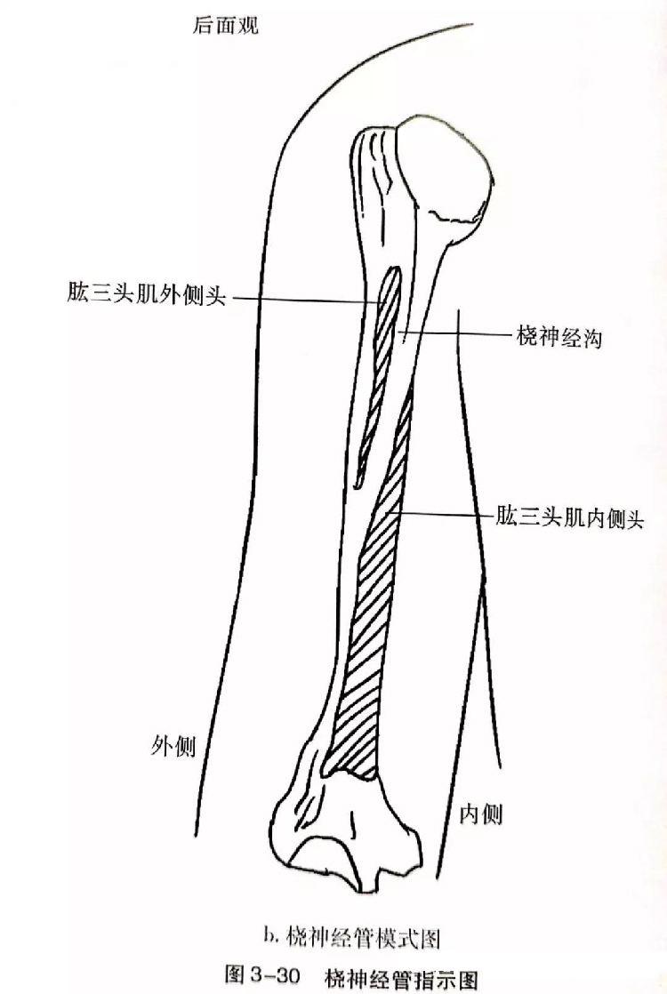 微信图片_20191129162727.jpg