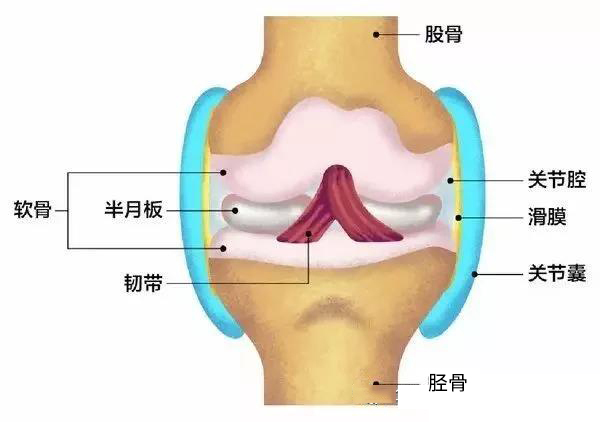 微信图片_20191129174733.jpg