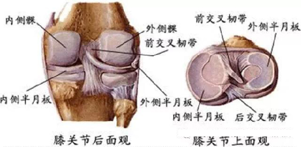 微信图片_20191129174748.jpg