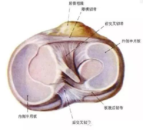 微信图片_20191129174750.jpg