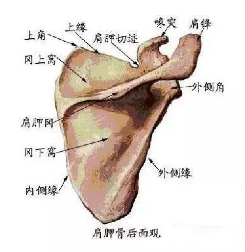 微信图片_20191130092442.jpg