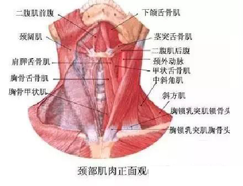 微信图片_20191130095922.jpg