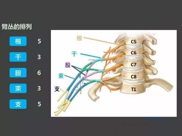 微信图片_20191130111815.jpg