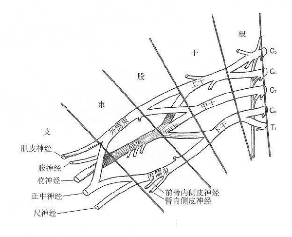 微信图片_20191130111817.jpg