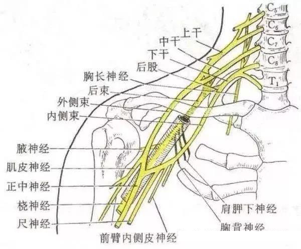 微信图片_20191130111838.jpg