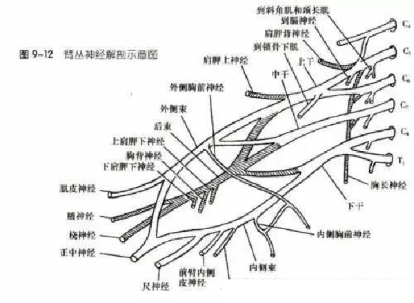 微信图片_20191130111842.jpg