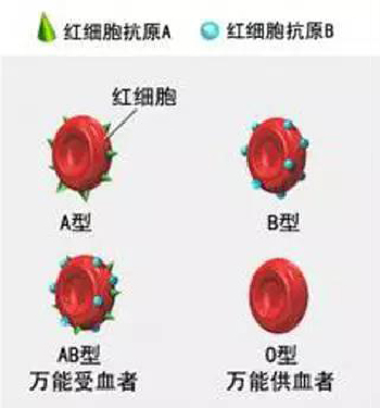 微信图片_20191130144558.jpg