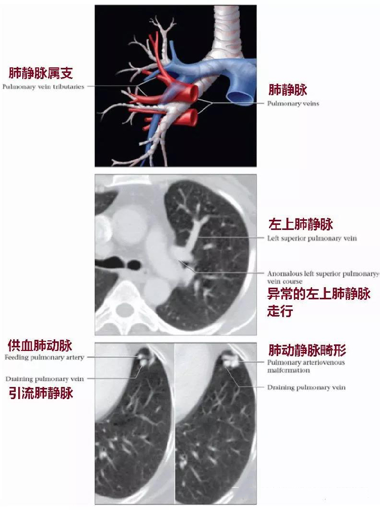 微信图片_20191130151800.jpg