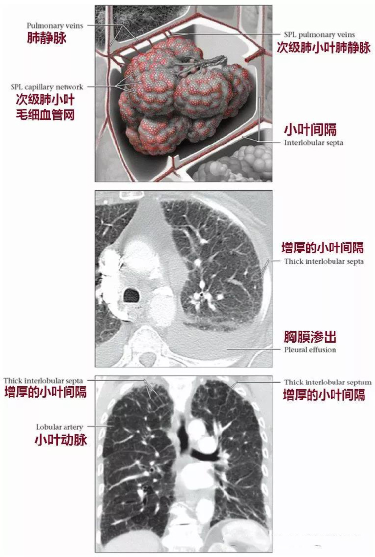 微信图片_20191130151807.jpg