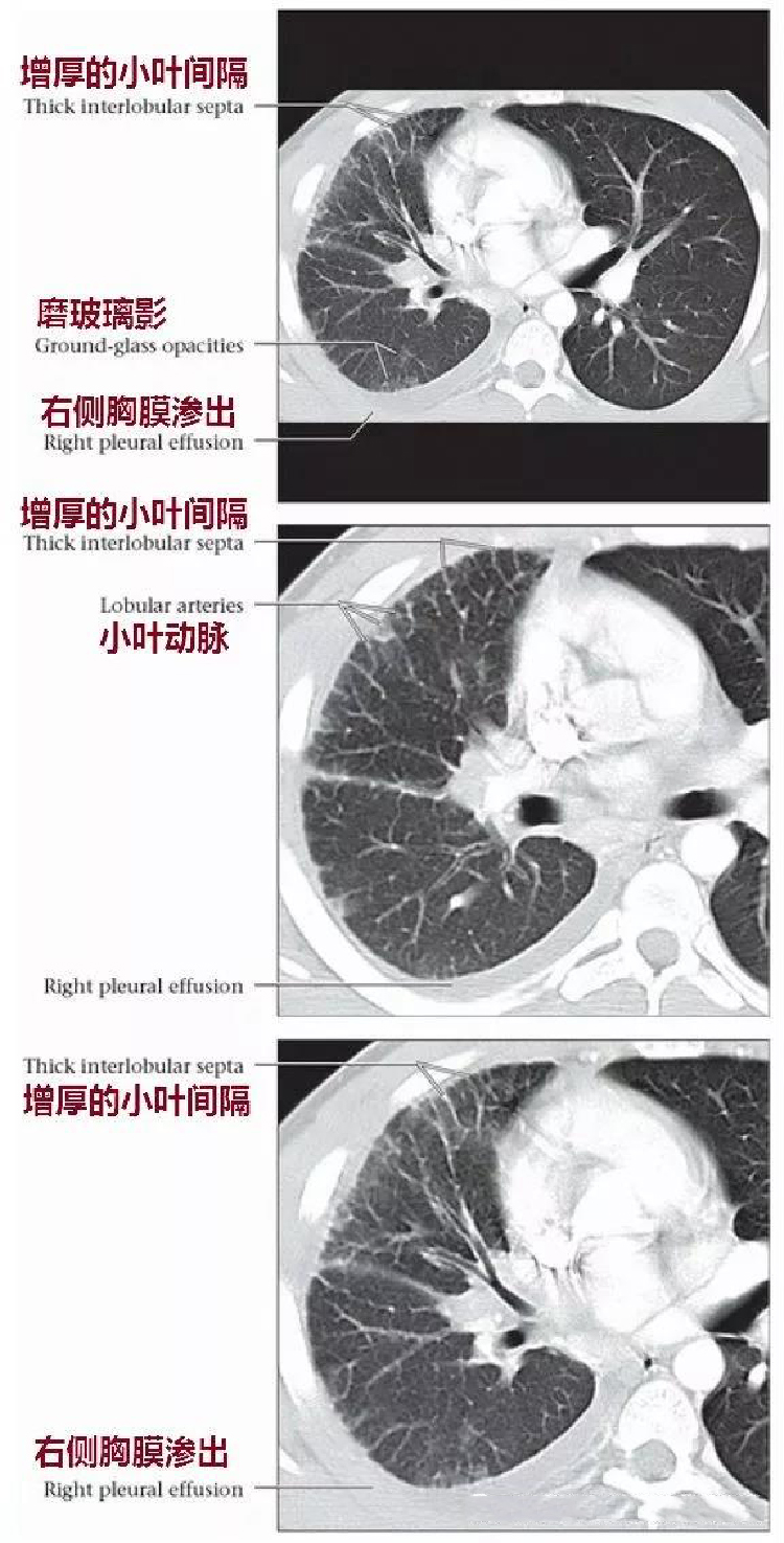 微信图片_20191130151810.jpg